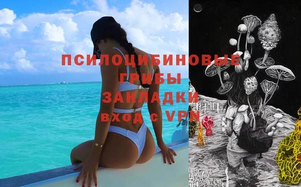 ALPHA PVP Арсеньев