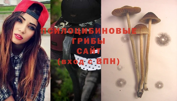 ALPHA PVP Арсеньев