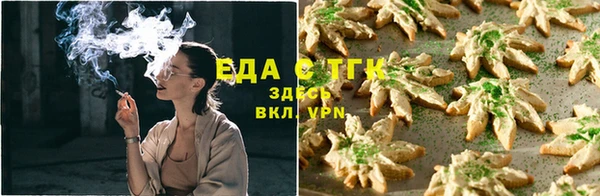 твердый Аркадак