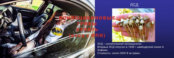 твердый Аркадак
