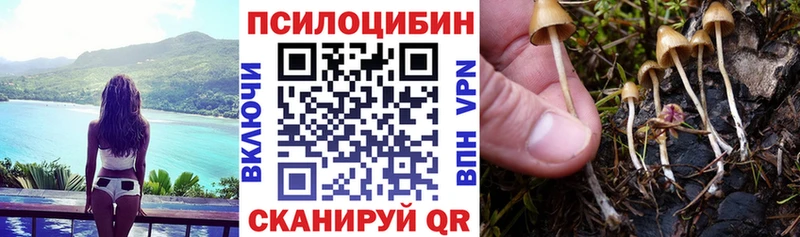 Псилоцибиновые грибы мицелий  Руза 